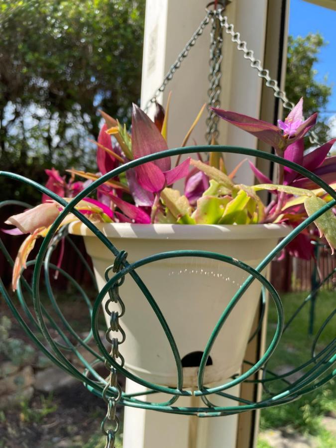 Theme Parks Amituofo Homestay Gold Coast Exterior photo