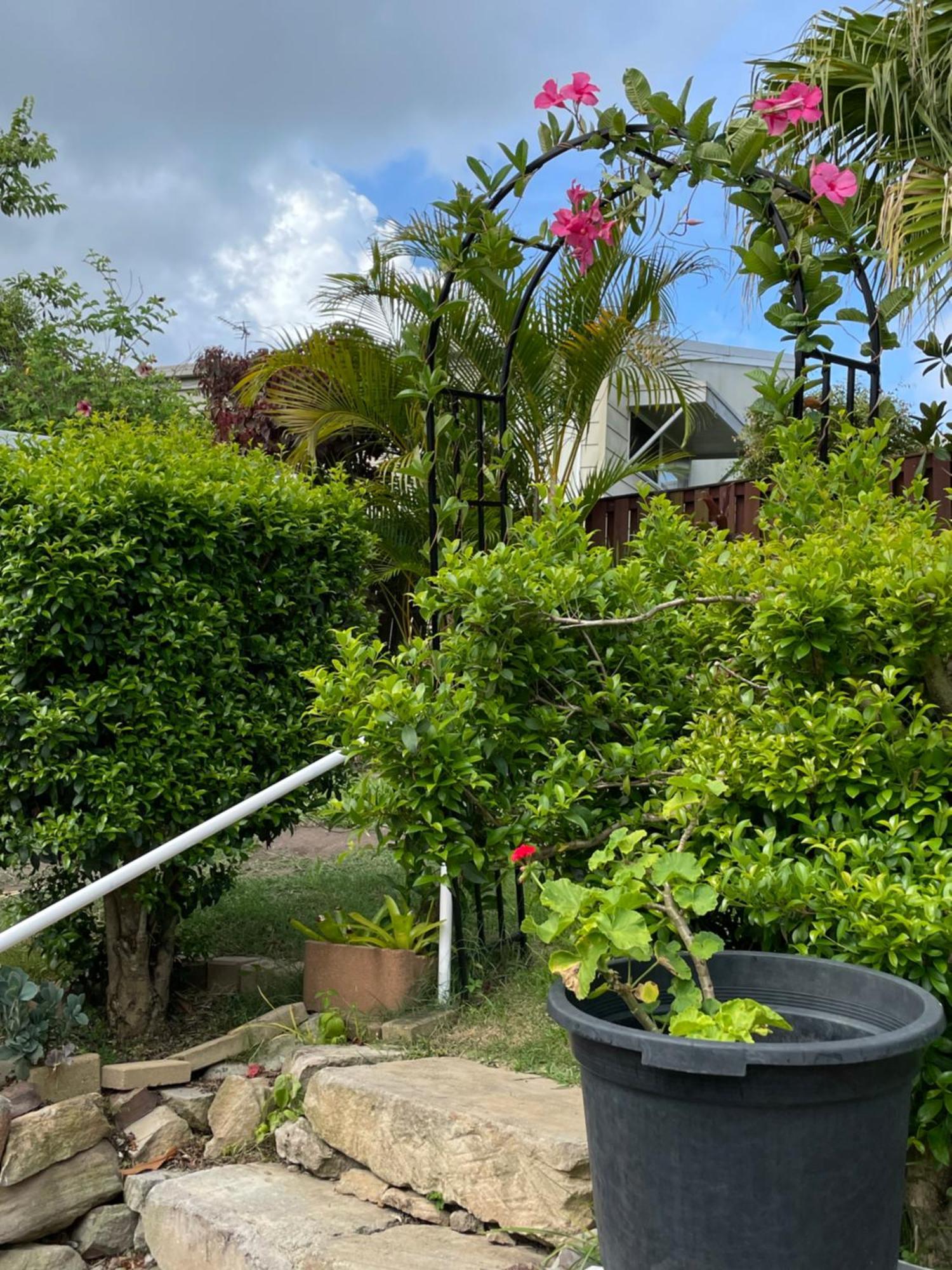 Theme Parks Amituofo Homestay Gold Coast Exterior photo